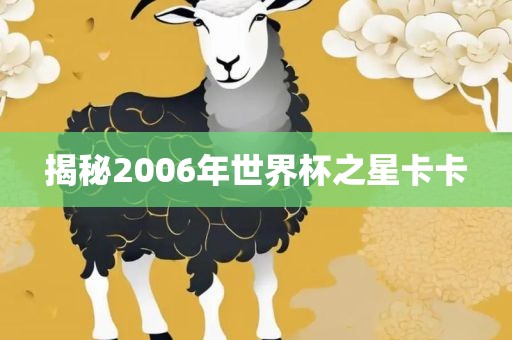 揭秘2006年世界杯之星卡卡广州熙林手袋有限公司