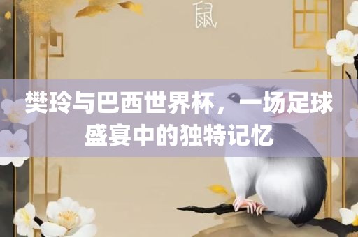 樊玲与巴西世界杯广州熙林手袋有限公司,一场足球盛宴中的独特记忆