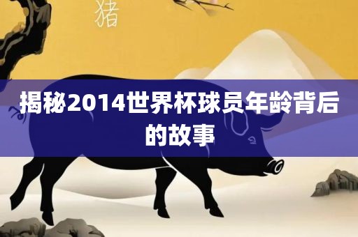 揭秘2014世界杯球员年龄背后的故事