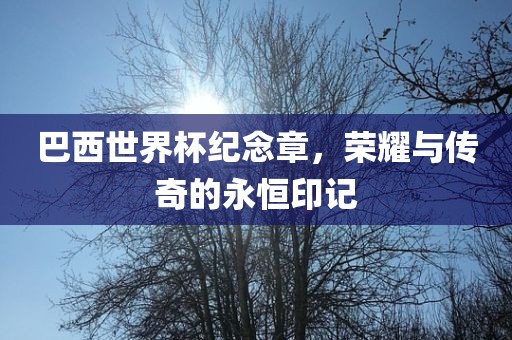 巴西世界杯纪念章,荣耀与传奇的永恒印记