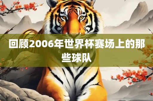 回顾2006年世界杯赛场上的那些球队广州熙林手袋有限公司