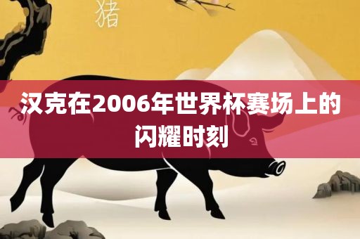 汉克在2006年世界杯赛场上的闪耀时刻
