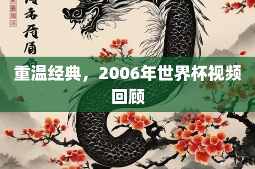 重温经典，2006年世界杯视频回顾