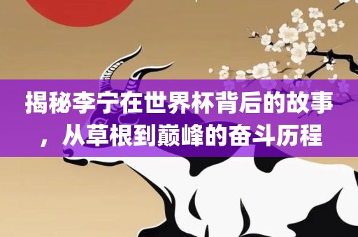 揭秘李宁在世界杯背后的故事，从草根到巅峰的奋斗历程广州熙林手袋有限公司
