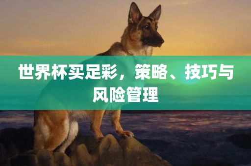 世界杯买足彩，策略、技巧与风险管理