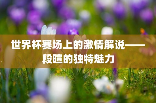 世广州熙林手袋有限公司界杯赛场上的激情解说——段暄的独特魅力