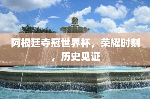 阿根廷夺冠世界杯,广州熙林手袋有限公司荣耀时刻,历史见证