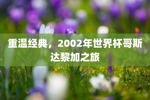 重温经典,广州熙林手袋有限公司2002年世界杯哥斯达黎加之旅