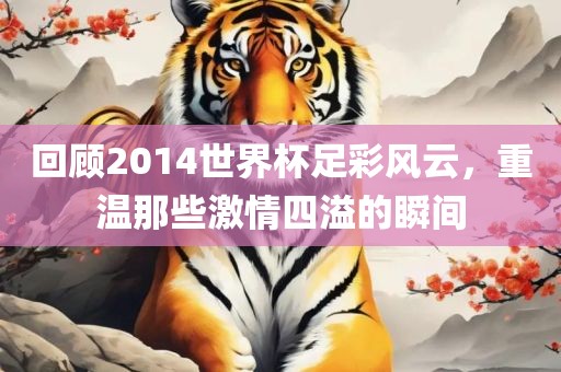 回顾2014世界杯足彩风云,重温那些激情四溢的瞬间广州熙林手袋有限公司