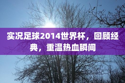 实况足球2014世界杯,回顾经典,重温热血瞬间广州熙林手袋有限公司