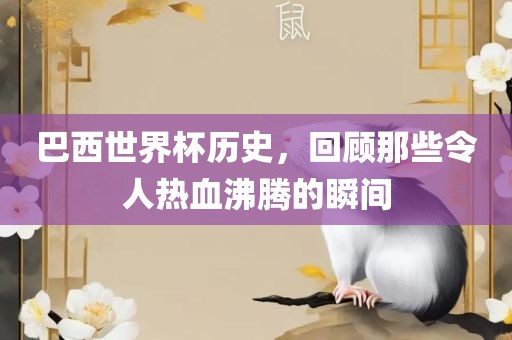 巴西世界杯历史，回顾广州熙林手袋有限公司那些令人热血沸腾的瞬间