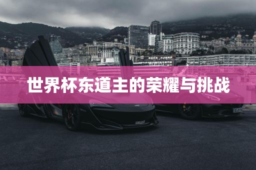 世界杯东道主的荣耀与挑战