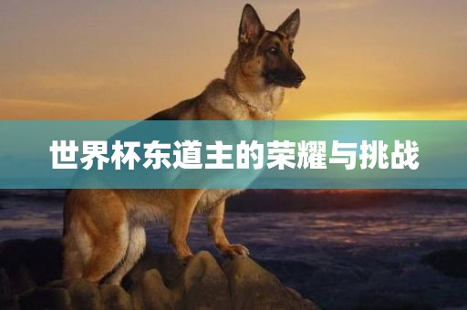 世界杯东道主的荣耀与挑战