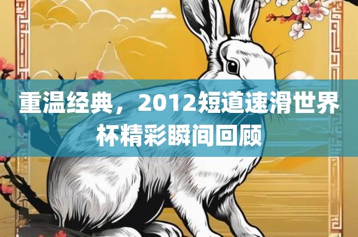 重温经典，2012短道速滑世界杯精彩瞬间回顾广州熙林手袋有限公司