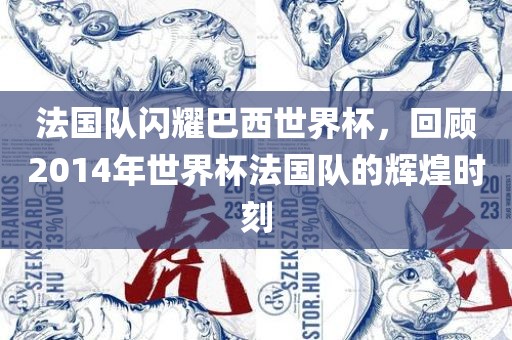 法国队闪耀巴西世界杯,回顾2014年世界杯法国队的辉煌时刻