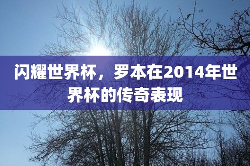 闪耀世界杯,罗本在2014年世界杯的传奇表现
