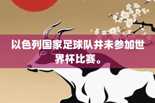 以色列国家足球队并未参加世界杯比赛。