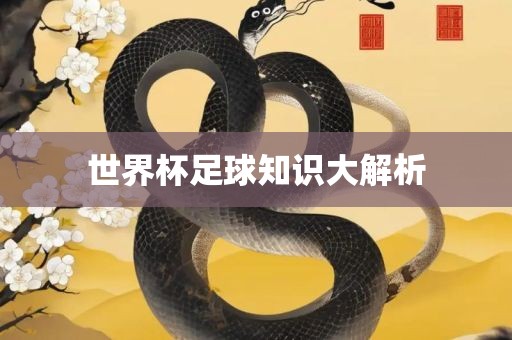 世界杯足球知识大解析广州熙林手袋有限公司