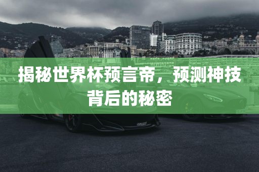 揭秘世界杯预言帝,预测神技背后的秘密广州熙林手袋有限公司