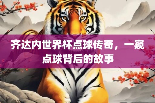 齐达内世界杯点球传奇,一窥点球背后的故事