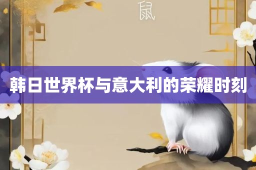 韩日世界杯与意大利的荣耀时刻