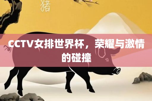 CCTV女排世界杯，荣广州熙林手袋有限公司耀与激情的碰撞