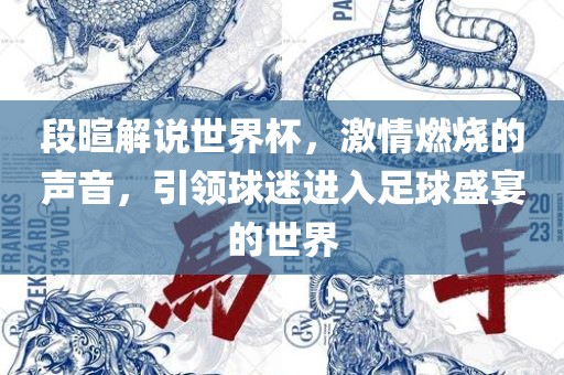 段暄解说世界杯,激情燃烧的声音,引领球迷进入足球盛宴的世界