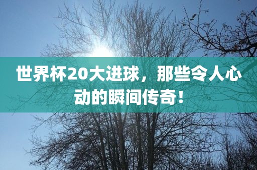 世界杯20大进球,那些令人心动的瞬间传奇!广州熙林手袋有限公司