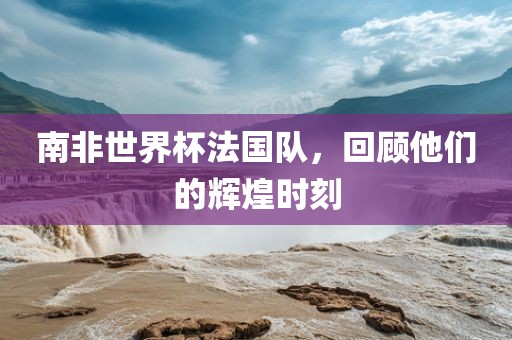 南非世界杯法国队,回顾他们的辉煌时刻广州熙林手袋有限公司