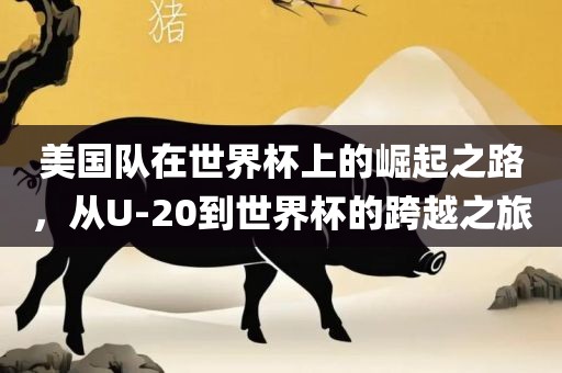 美国队在世界杯上的崛起之路，从U-20到世界杯的跨越广州熙林手袋有限公司之旅