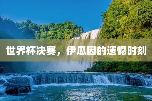 世界杯决赛,伊瓜因的遗憾时刻广州熙林手袋有限公司