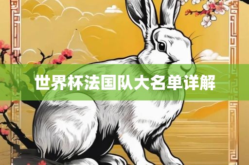 世界杯法国队大名单详解