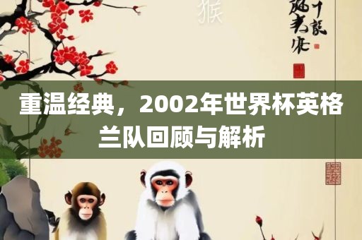 重温经典,2002年世界杯英格兰队回顾与解析