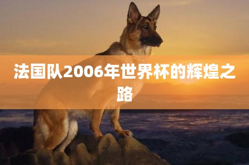法国队2006年世界杯的辉煌之路