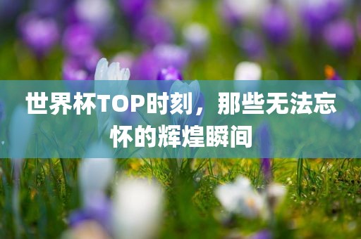 世界杯TOP时刻,那些无法忘怀的辉煌瞬间广州熙林手袋有限公司