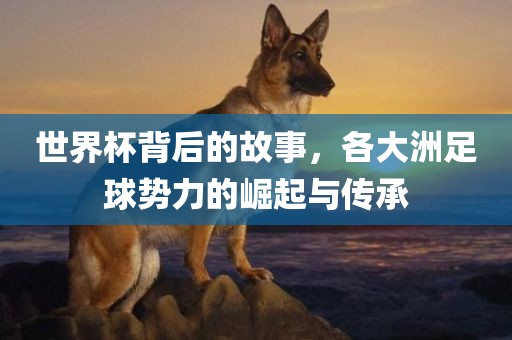 世界杯背后的故事,各大洲足球势力的崛起与传承广州熙林手袋有限公司