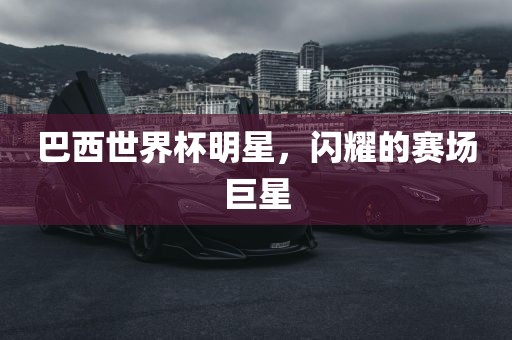 巴西世界杯明星,闪耀的赛场巨星广州熙林手袋有限公司