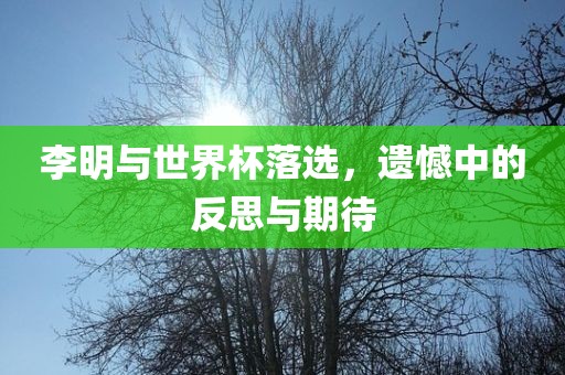 李明与世界杯落选,遗憾中的反思与期待广州熙林手袋有限公司