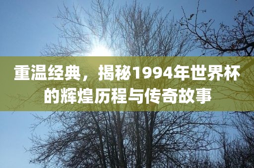 重温经典，揭秘1994年世界杯的辉煌历程广州熙林手袋有限公司与传奇故事