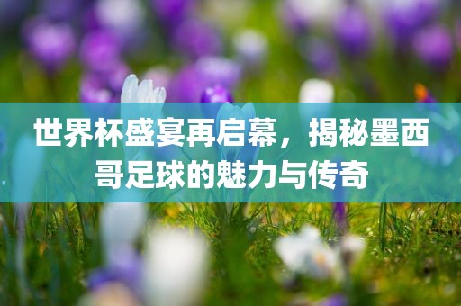 世界杯盛宴再启幕，揭秘墨西哥足球的魅力与传奇