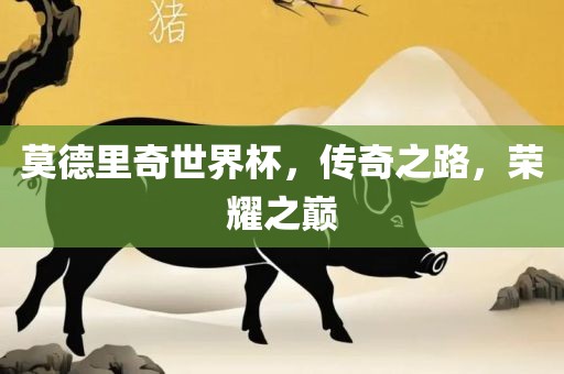 莫德里奇世界杯,传奇之路,荣耀之巅