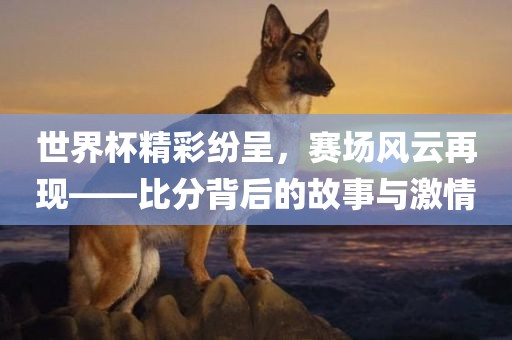 世界杯精彩纷呈，赛场风云再现——比分背后的故事与激情
