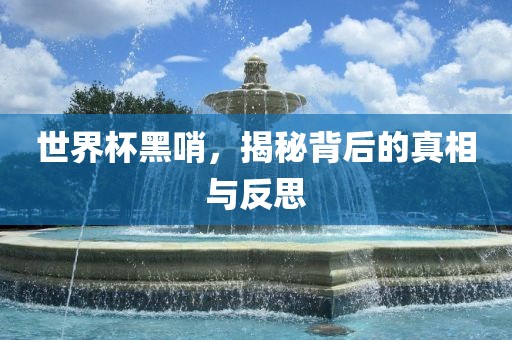 世界杯黑哨，揭秘背后的真相与反思