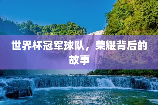 世界杯冠军球队，荣耀背后的故事