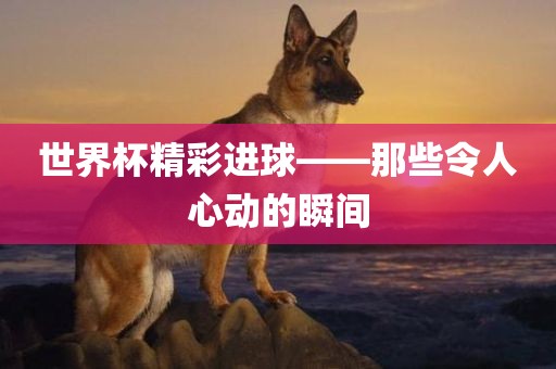 世界杯精彩进球——那些令人心动的瞬间