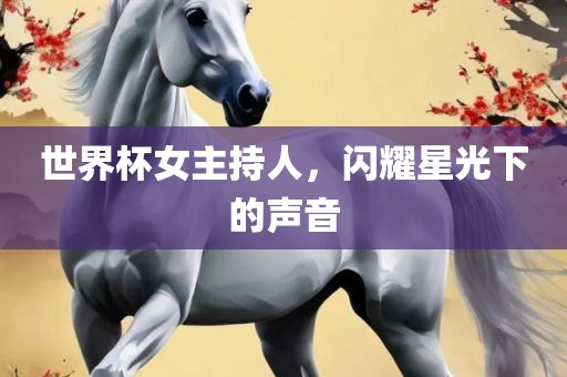 世界杯女主持人，闪耀星光下的声音