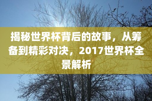 揭秘世界杯背后的故事，从筹备到精彩对决，2017世界杯全景解析