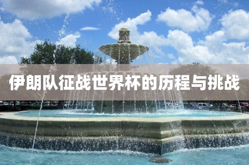 伊朗队征战世界杯的历程与挑战