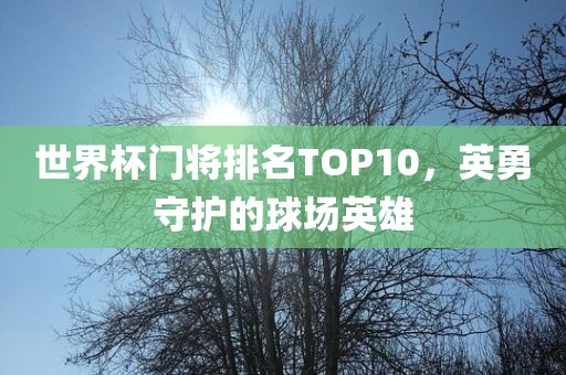 世界杯门将排名TOP10,英勇守护的球场英雄