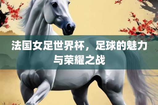 法国女足世界杯,足球的魅力与荣耀之战